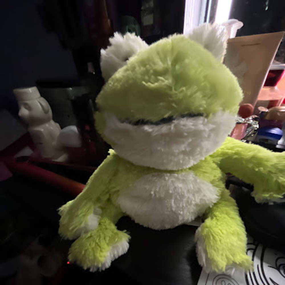 Meet your Posher, Lillian